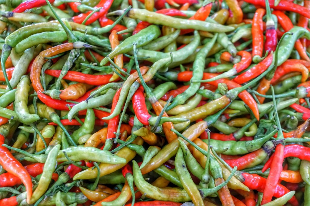 lal mirch, hari mirch, benefits of chili